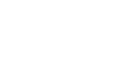 Lion Stoneworks LLC logo